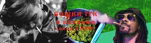 spice Аркадак