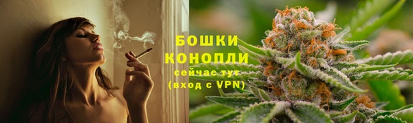 ПСИЛОЦИБИНОВЫЕ ГРИБЫ Балабаново