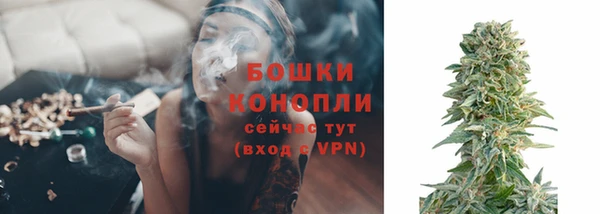 ПСИЛОЦИБИНОВЫЕ ГРИБЫ Балабаново